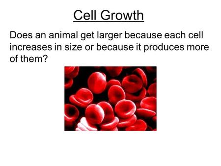 Cell Growth Does an animal get larger because each cell increases in size or because it produces more of them?