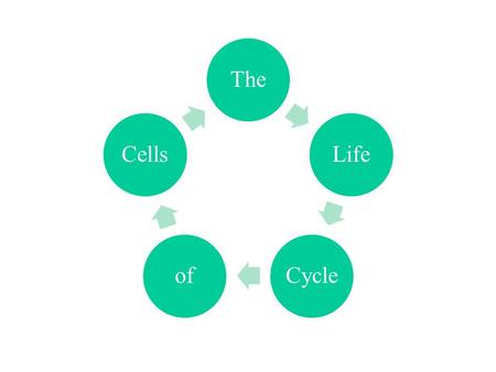 TheLifeCycleofCells. Cell Growth A cell is limited by its cell size The larger the cell the harder it is to move through tissue and get nutrients In order.