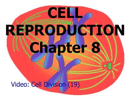 CELL REPRODUCTION Chapter 8 Video: Cell Division (19)