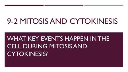 9-2 Mitosis and cytokinesis