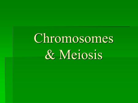 Chromosomes & Meiosis.