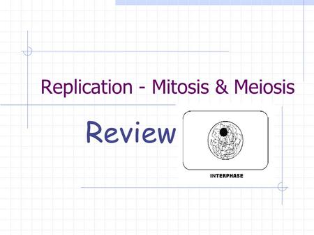 Replication - Mitosis & Meiosis