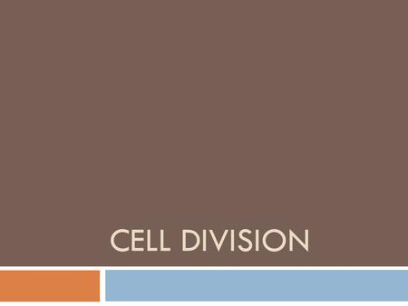 CELL DIVISION. Cell Life Cycle  Two major periods: 1. Interphase: cell grows and undergoes usual activities 2. Cell division: cell reproduces asexually.