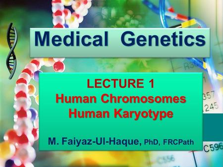 Human Chromosomes Human Karyotype M. Faiyaz-Ul-Haque, PhD, FRCPath