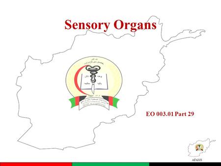 Sensory Organs EO 003.01 Part 29.