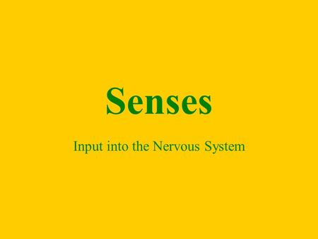 Senses Input into the Nervous System. Senses Input Sensory input begins with sensors that react to stimuli in the form of energy that is transmitted.
