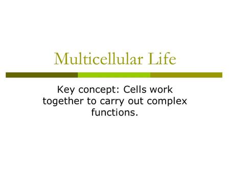 Key concept: Cells work together to carry out complex functions.