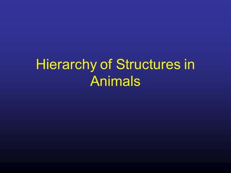 Hierarchy of Structures in Animals