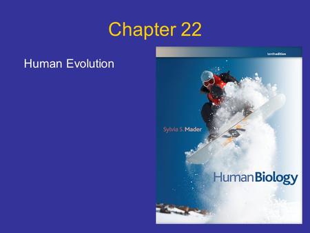 Chapter 22 Human Evolution.