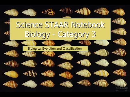 Science STAAR Notebook Biology - Category 3