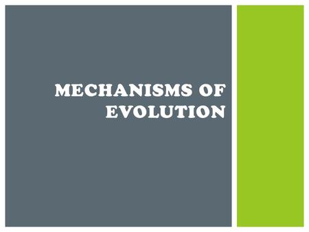 MECHANISMS OF EVOLUTION.  After studying Malthus, Darwin realized that if more individuals are produced than can survive, members of a population must.
