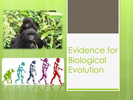 Evidence for Biological Evolution. Evolution results from 4 factors:  Potential for a species to increase in number  Heritable genetic variation  Due.