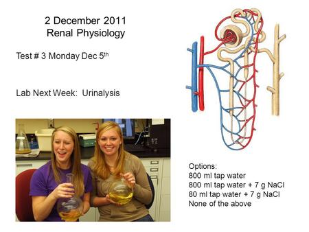 2 December 2011 Renal Physiology