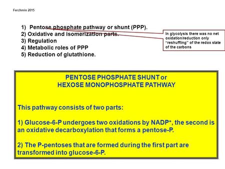 PENTOSE PHOSPHATE SHUNT or HEXOSE MONOPHOSPHATE PATHWAY This pathway consists of two parts: 1) Glucose-6-P undergoes two oxidations by NADP +, the second.