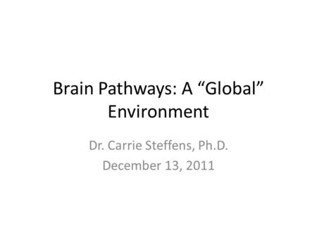 Brain Pathways: A “Global” Environment Dr. Carrie Steffens, Ph.D. December 13, 2011.