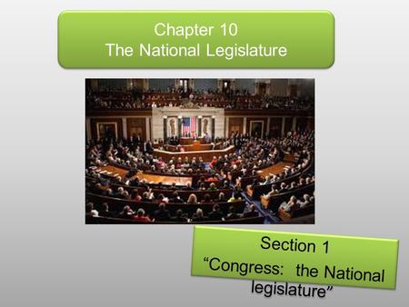 Chapter 10 The National Legislature