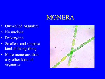 MONERA One-celled organism No nucleus Prokaryotic Smallest and simplest kind of living thing More monerans than any other kind of organism.