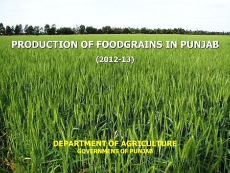 PRODUCTION OF FOODGRAINS IN PUNJAB DEPARTMENT OF AGRICULTURE