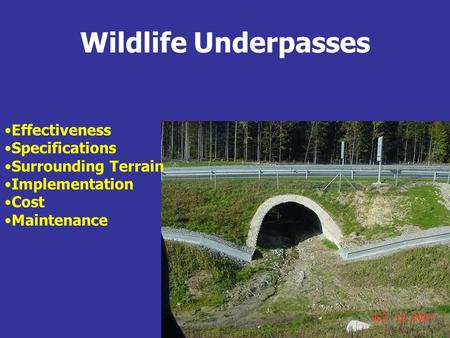 Wildlife Underpasses Effectiveness Specifications Surrounding Terrain Implementation Cost Maintenance.
