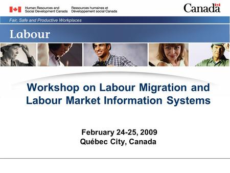 Workshop on Labour Migration and Labour Market Information Systems February 24-25, 2009 Québec City, Canada.