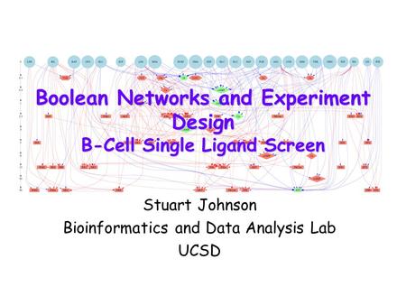 Boolean Networks and Experiment Design B-Cell Single Ligand Screen Stuart Johnson Bioinformatics and Data Analysis Lab UCSD.