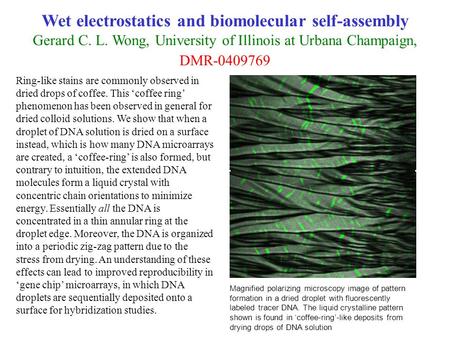 Wet electrostatics and biomolecular self-assembly Gerard C. L. Wong, University of Illinois at Urbana Champaign, DMR-0409769 Ring-like stains are commonly.