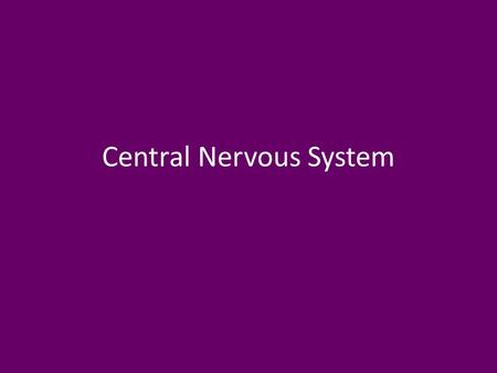 Central Nervous System. CNS Communication and control centre of body Brain and spinal cord.