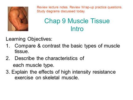 Chap 9 Muscle Tissue Intro Learning Objectives: 1.Compare & contrast the basic types of muscle tissue. 2.Describe the characteristics of each muscle type.