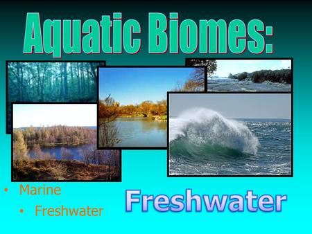 Aquatic Biomes: Marine Freshwater Freshwater.