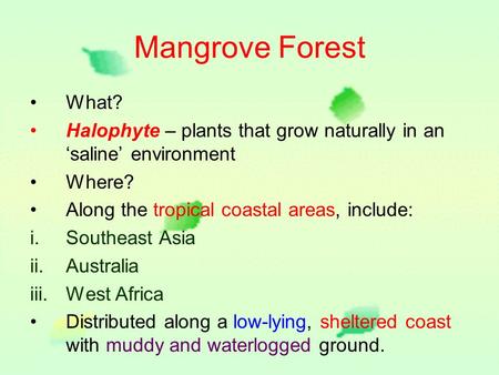 Mangrove Forest What? Halophyte – plants that grow naturally in an ‘saline’ environment Where? Along the tropical coastal areas, include: i.Southeast.