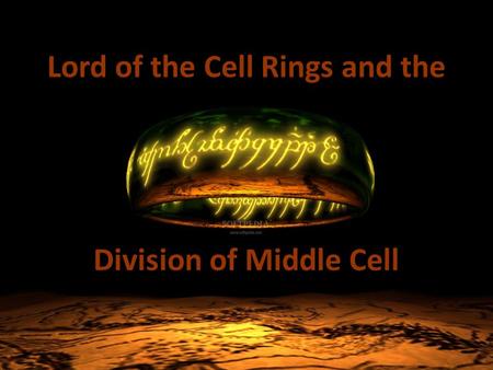 Lord of the Cell Rings and the Division of Middle Cell.
