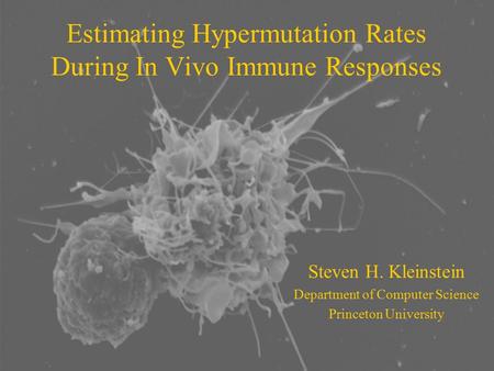 Estimating Hypermutation Rates During In Vivo Immune Responses Steven H. Kleinstein Department of Computer Science Princeton University.