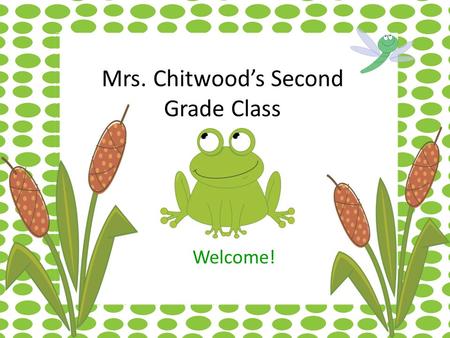 Mrs. Chitwood’s Second Grade Class