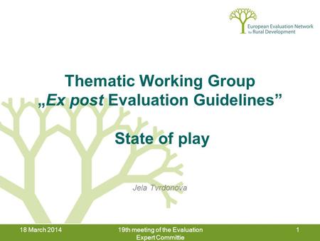 18 March 201419th meeting of the Evaluation Expert Committie 1 Thematic Working Group „Ex post Evaluation Guidelines” State of play Jela Tvrdonova.