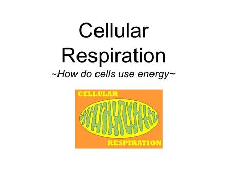 Cellular Respiration ~ How do cells use energy~ Why Energy? Energy is essential to life! All living organisms must be able to: 1.) store energy for future.