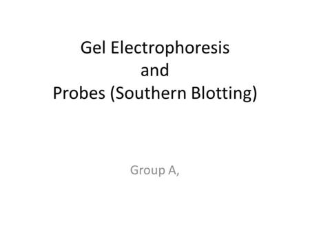 Gel Electrophoresis and Probes (Southern Blotting) Group A,