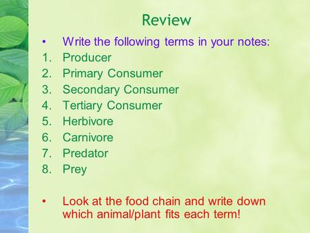 Review Write the following terms in your notes: 1.Producer 2.Primary Consumer 3.Secondary Consumer 4.Tertiary Consumer 5.Herbivore 6.Carnivore 7.Predator.