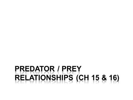 Predator Behavior Numerical Response – –Predators will gather around a high density prey area Predators “learn” where prey is (by experience or watching.