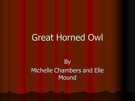 Great Horned Owl By Michelle Chambers and Elle Mound.