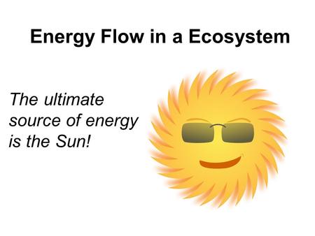 Energy Flow in a Ecosystem