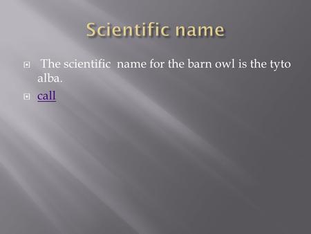  The scientific name for the barn owl is the tyto alba.  call call.