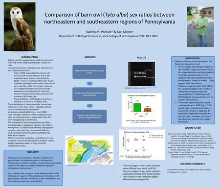 Comparison of barn owl (Tyto alba) sex ratios between northeastern and southeastern regions of Pennsylvania Kaitlyn M. Pontuti* & Karl Kleiner Department.