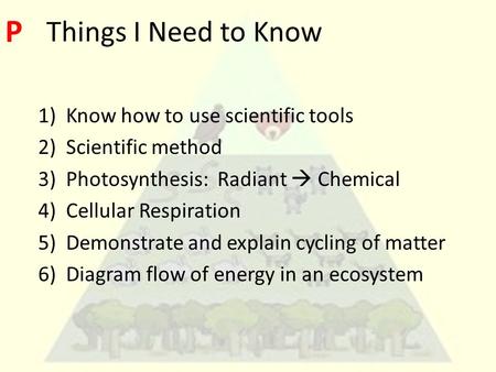 Things I Need to Know 1)Know how to use scientific tools 2)Scientific method 3)Photosynthesis: Radiant  Chemical 4)Cellular Respiration 5)Demonstrate.