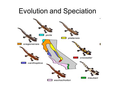 Evolution and Speciation. Species A group of organisms that breed with one another and produce fertile offspring.