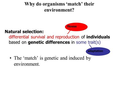 Why do organisms ‘match’ their environment? The ‘match’ is genetic and induced by environment. Natural selection: differential survival and reproduction.