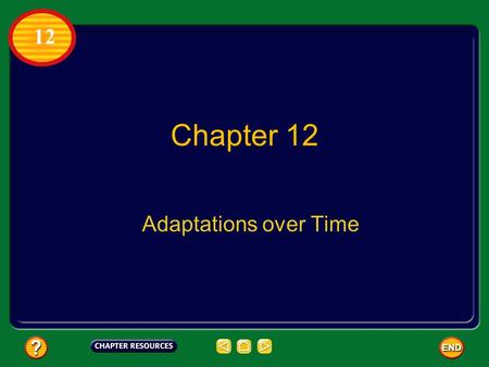 Chapter 12 Adaptations over Time 12. Chapter: Adaptations over Time Table of Contents Section 3: The Evolution of PrimatesThe Evolution of Primates Section.