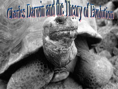 Darwin and the development of the theory The Theory of Evolution.