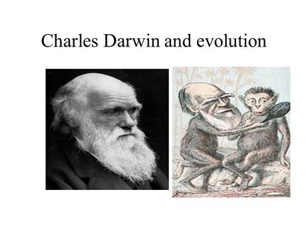 Charles Darwin and evolution. How do you think these different fish came to be? How about these different types of vegetables? Answer: the fish and the.