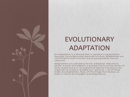 An adaptation is a feature that is common in a population because it provides some improved function. Adaptations are well fitted to their function and.