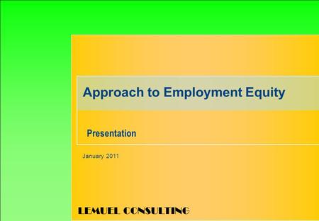 LEMUEL CONSULTING Approach to Employment Equity January 2011 Presentation.